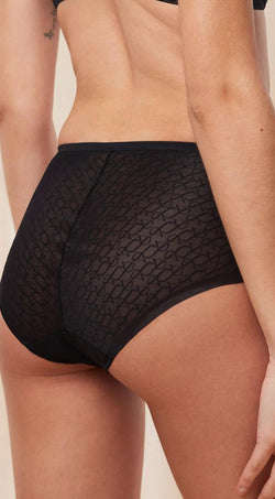 Triumph Signature Sheer Maxi Brief