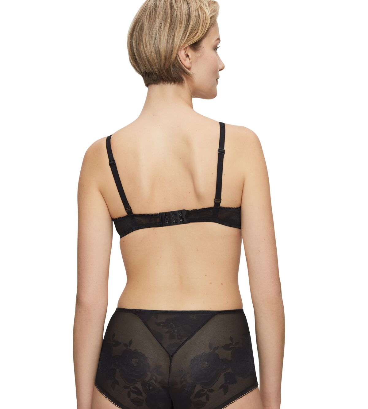 Wild Rose Sensation Wp