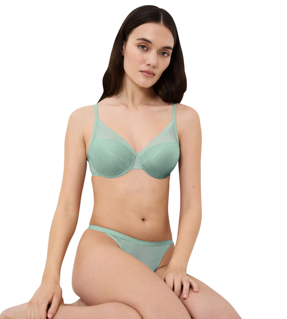 Triumph Signature Sheer