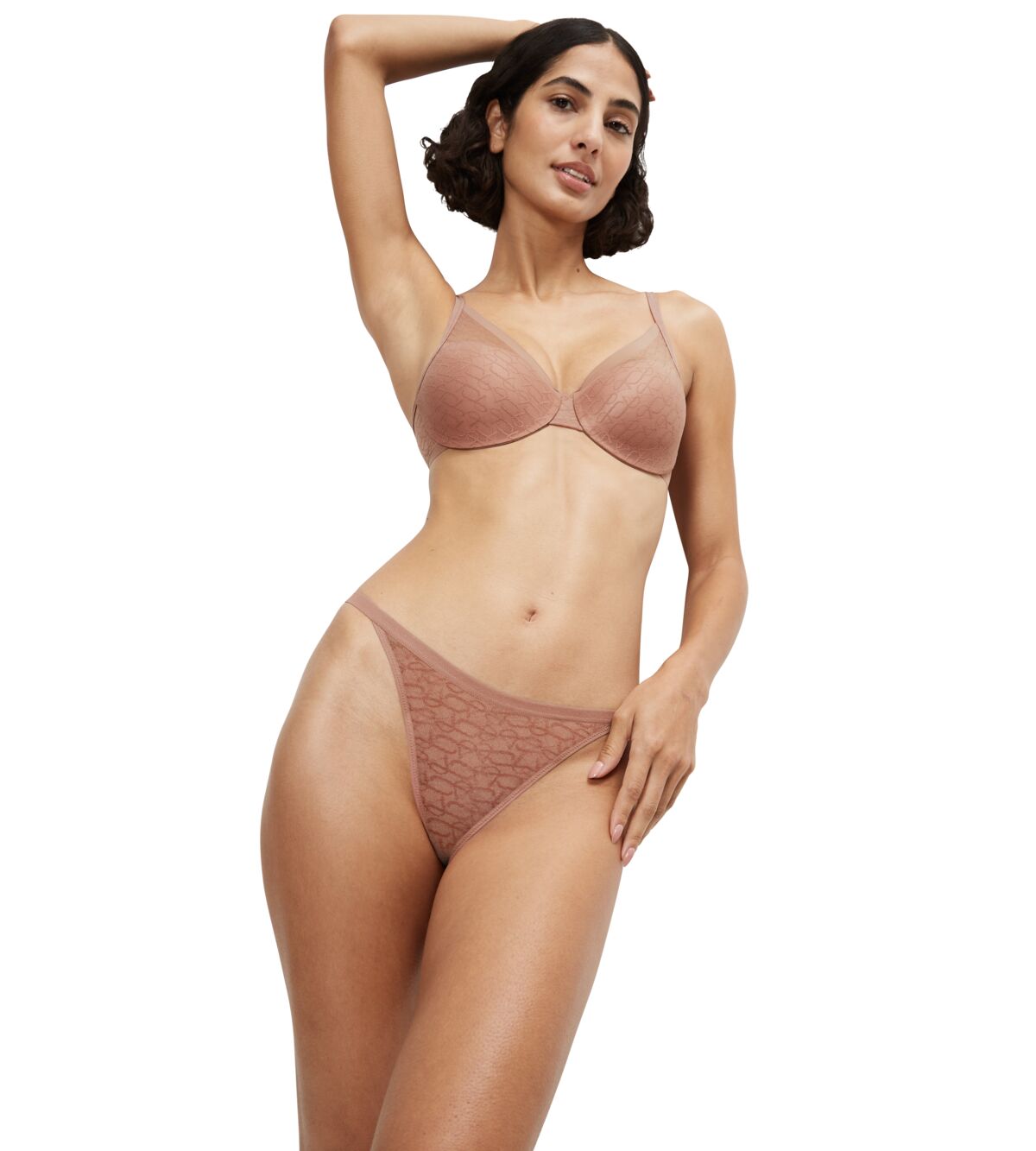 Triumph Signature Sheer