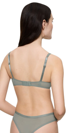 Delightful Spotlight