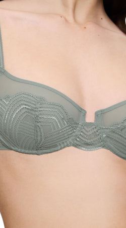 Delightful Spotlight