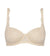 Amourette Charm Wired Padded Bra