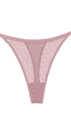 Triumph Signature Sheer