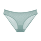 Triumph Signature Sheer