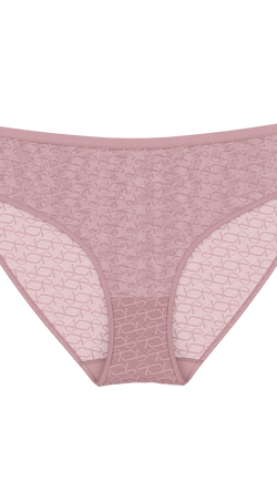 Triumph Signature Sheer