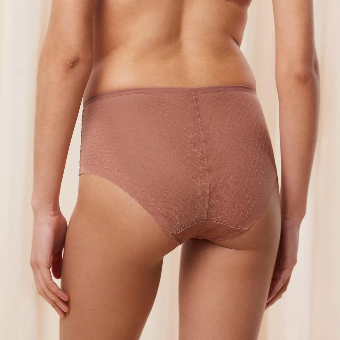 Triumph Signature Sheer Maxi Brief