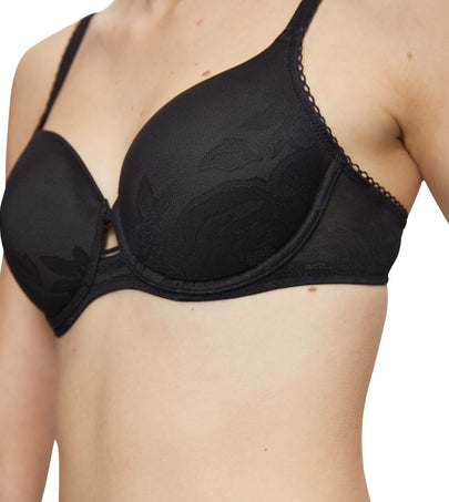 Wild Rose Sensation Wp