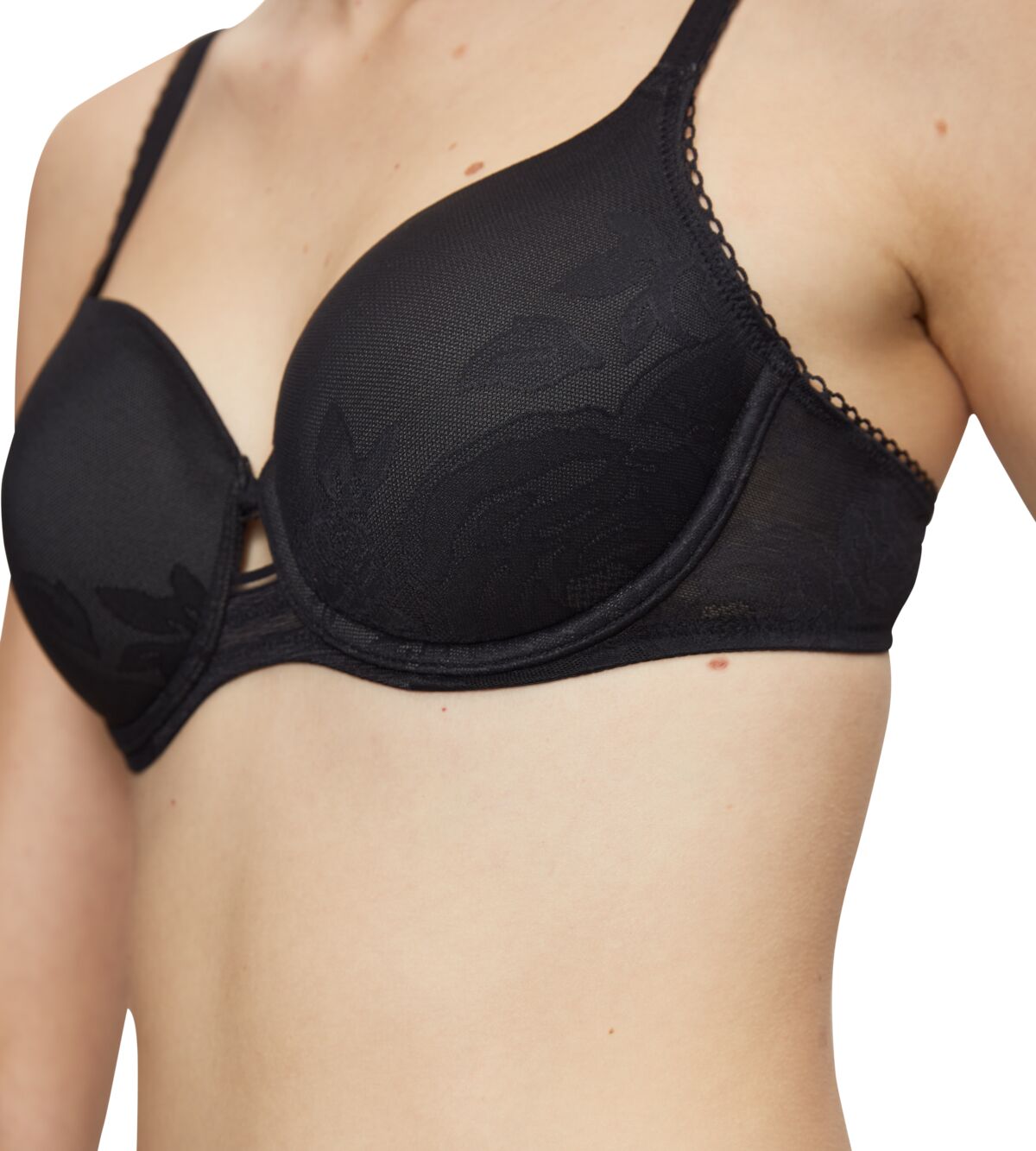 Wild Rose Sensation Wp