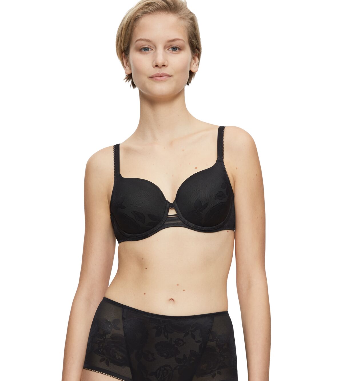 Wild Rose Sensation Wp