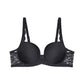 Amourette Wp