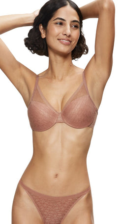 Triumph Signature Sheer